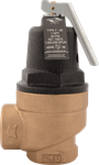 1^ Bronze Pressure Release Valve for HOT WATER (Set at 30 PSI)