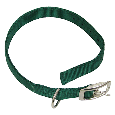 1' x 24' Green Calf Collar with Buckle