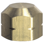 1/4^ Brass Hex Cap - Heavy