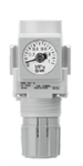 1/4' NPT Air Regulator