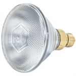 175 Watt Clear Phillips Brooder Bulb 12/Case