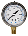 2 1/2^ Liquid Filled Pressure Gauge 0 - 600 psi with Brass 1/4^ MPT