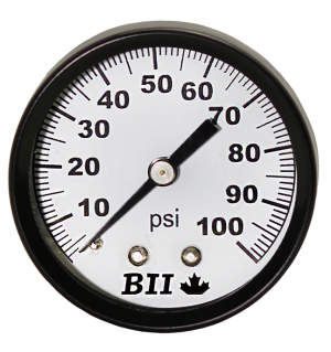 2' Pressure Gauge 0-100 PSI with Brass 1/4' MPT, CENTER BACK MOUNT