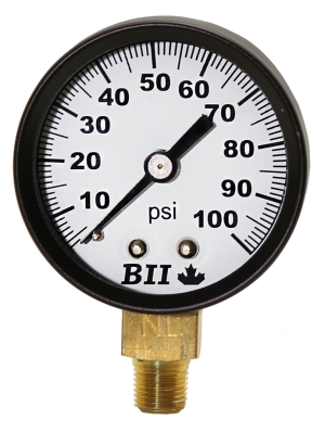 2' Pressure Gauge 0-100 PSI with Brass 1/4' MPT