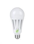 29W LED Bulb A23 Non-Dimmable 5000K 3050 Lumens 24/CS