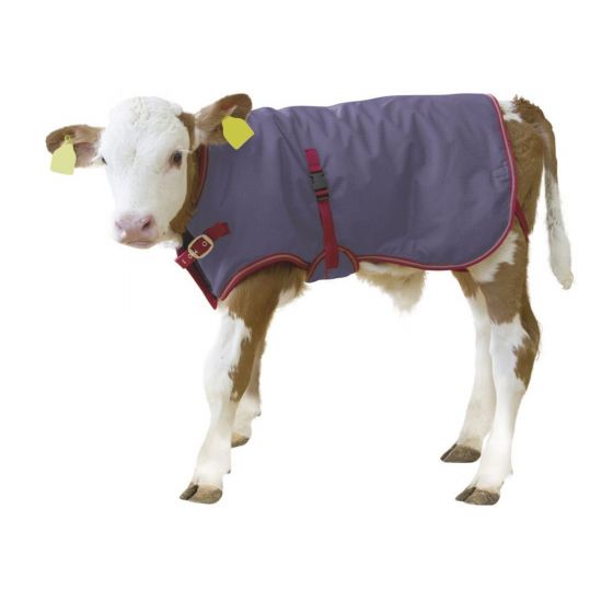 Calf Blankets