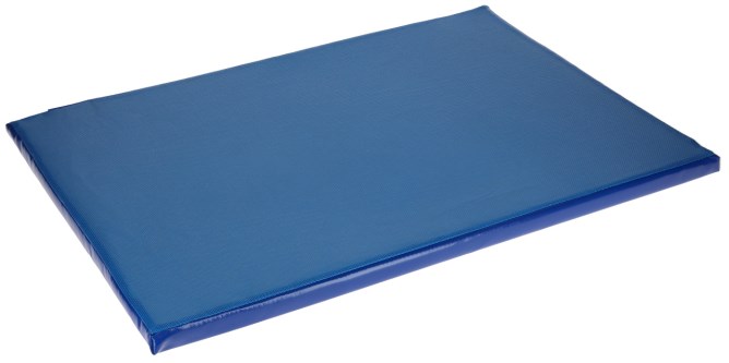 Disinfection Mat 85cm x 60cm x 3cm