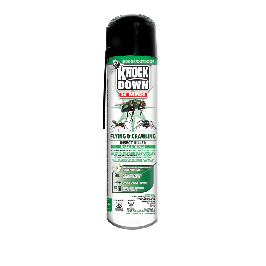 Fly Sprays Aerosol Domestic