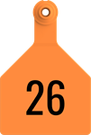 Herdsman Large Tags. 25/pkg Orange Numbered 26-50
