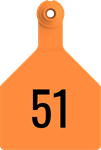 Herdsman Large Tags. 25/pkg Orange Numbered 51-75