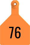 Herdsman Large Tags. 25/pkg Orange Numbered 76-100