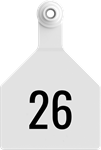 Herdsman Large Tags. 25/pkg White Numbered 26-50