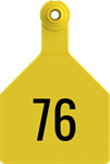 Herdsman Large Tags. 25/pkg Yellow Numbered 76-100