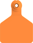Herdsman Medium Blank Tags. 25/pkg Orange