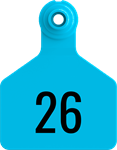 Herdsman Medium Tags. 25/pkg Blue Numbered 26-50