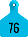 Herdsman Medium Tags. 25/pkg Blue Numbered 76-100