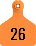 Herdsman Medium Tags. 25/pkg Orange Numbered 26-50