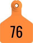 Herdsman Medium Tags. 25/pkg Orange Numbered 76-100