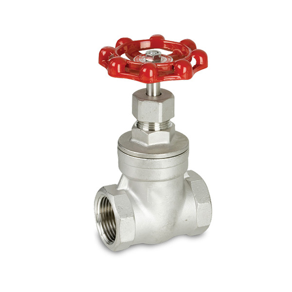 SS Gate Valve
