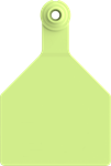 Stockman Large Blank Tags. 25/pkg Chartreuse