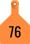 Stockman Large Tags. 25/pkg Orange Numbered 76-100