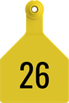 Stockman Large Tags. 25/pkg Yellow Numbered 26-50