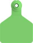 Stockman Medium Blank Tags. 25/pkg Green
