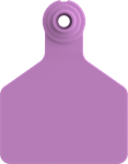 Stockman Medium Blank Tags. 25/pkg Purple