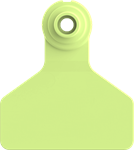 Stockman Small Blank Tags. 25/pkg Chartreuse