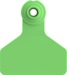 Stockman Small Blank Tags. 25/pkg Green