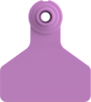 Stockman Small Blank Tags. 25/pkg Purple