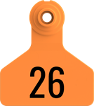 Stockman Small Tags. 25/pkg Orange Numbered 26-50