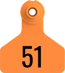 Stockman Small Tags. 25/pkg Orange Numbered 51-75