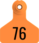 Stockman Small Tags. 25/pkg Orange Numbered 76-100