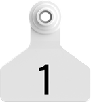 Stockman Small Tags. 25/pkg White Numbered 1-25
