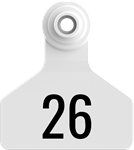 Stockman Small Tags. 25/pkg White Numbered 26-50