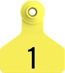 Stockman Small Tags. 25/pkg Yellow Numbered 1-25