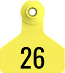 Stockman Small Tags. 25/pkg Yellow Numbered 26-50