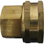 Brass Swivel FGHT X ¾^ FNPT 10/Bag