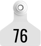 Stockman Small Tags. 25/pkg White Numbered 76-100